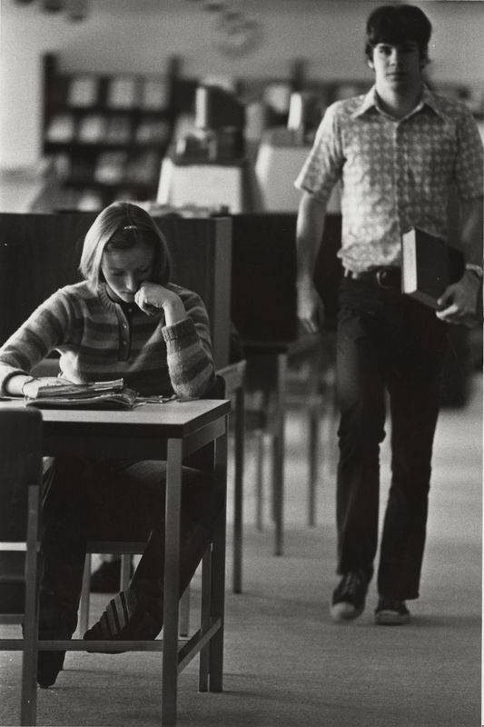 Students using the library